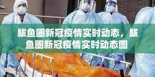 鲅鱼圈新冠疫情实时动态，鲅鱼圈新冠疫情实时动态图 