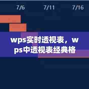 wps实时透视表，wps中透视表经典格式 