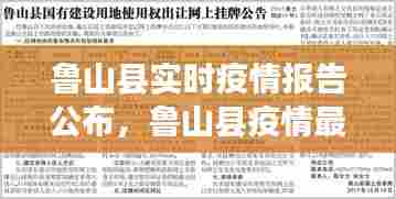 鲁山县实时疫情报告公布，鲁山县疫情最新消息29号 