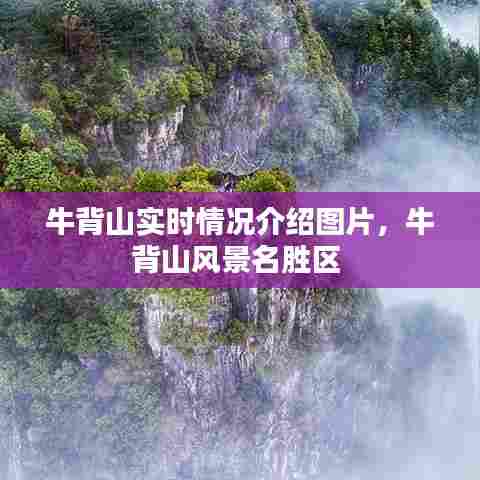 牛背山实时情况介绍图片,牛背山风景名胜区
