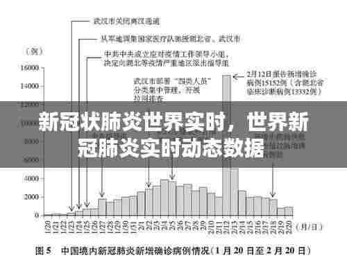 新冠状肺炎世界实时,世界新冠肺炎实时动态数据