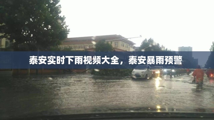 泰安实时下雨视频大全,泰安暴雨预警