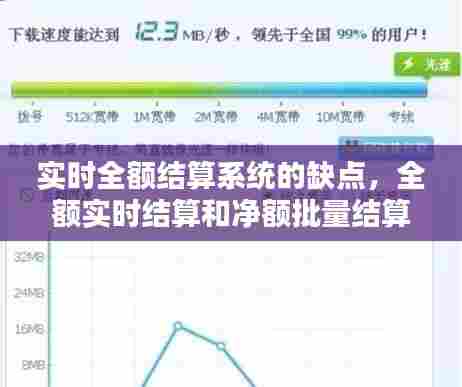 实时全额结算系统的缺点,全额实时结算和净额批量结算