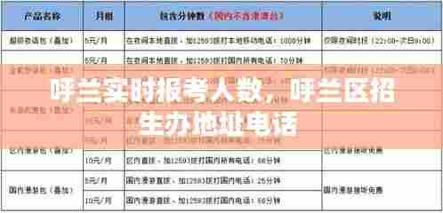 呼兰实时报考人数，呼兰区招生办地址电话 