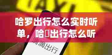 哈罗出行怎么实时听单,哈啰出行怎么听单