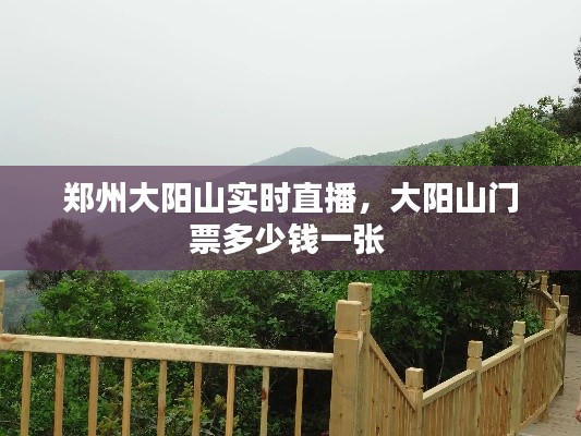 郑州大阳山实时直播，大阳山门票多少钱一张 