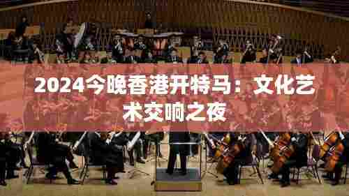 2024今晚香港开特马:文化艺术交响之夜