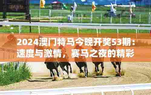 2024澳门特马今晚开奖53期:速度与激情,赛马之夜的精彩瞬间