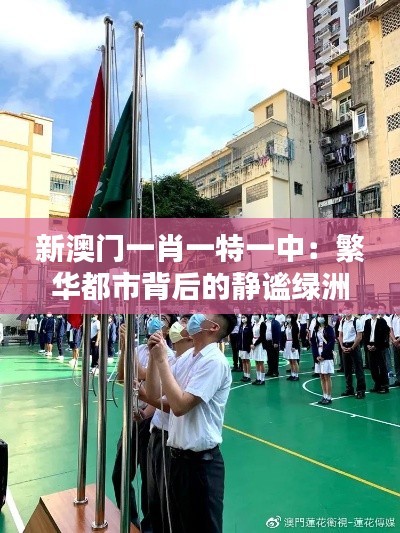 新澳门一肖一特一中：繁华都市背后的静谧绿洲