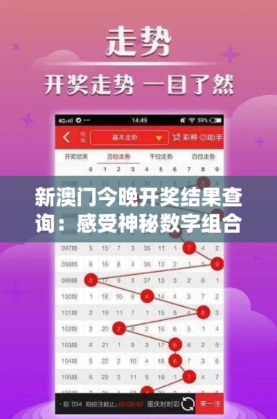 新澳门今晚开奖结果查询:感受神秘数字组合的魅力