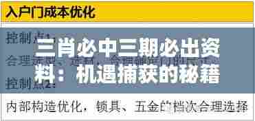 三肖必中三期必出资料：机遇捕获的秘籍指南