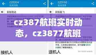 cz387航班实时动态，cz3877航班动态 