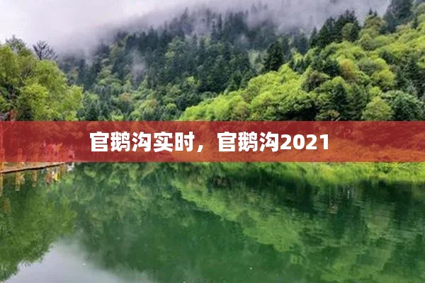 官鹅沟实时,官鹅沟2021
