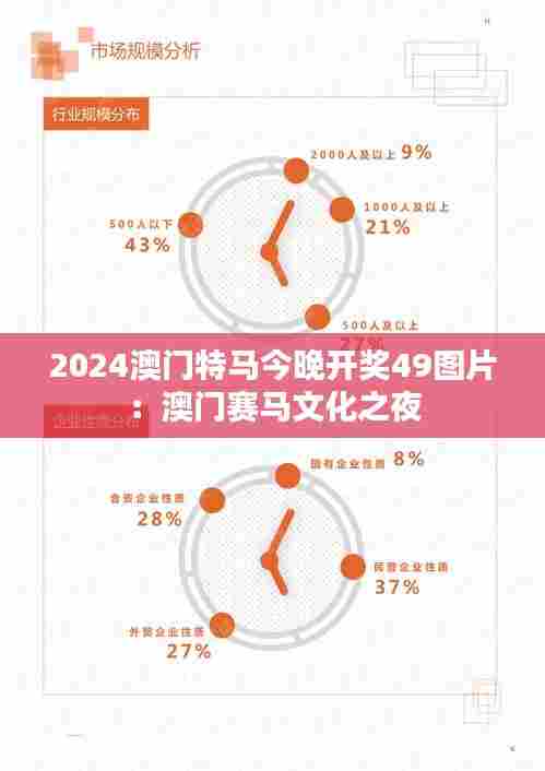 2024澳门特马今晚开奖49图片:澳门赛马文化之夜