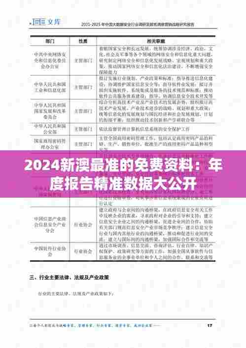 2024新澳最准的免费资料：年度报告精准数据大公开