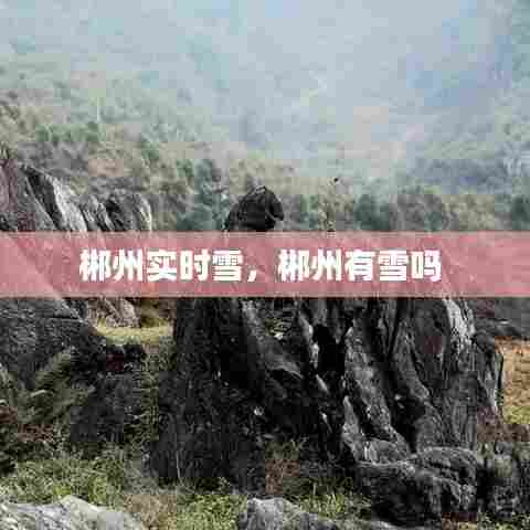 郴州实时雪，郴州有雪吗 