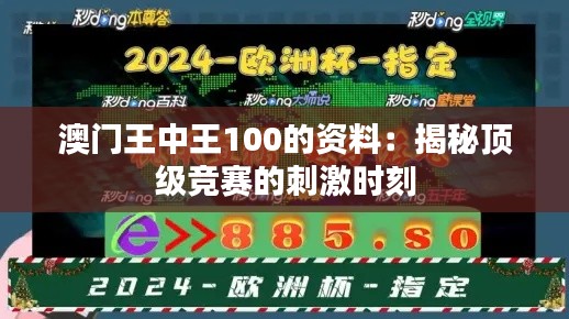 澳门王中王100的资料：揭秘顶级竞赛的刺激时刻