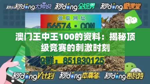 澳门王中王100的资料:揭秘顶级竞赛的刺激时刻