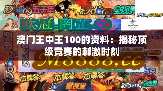 澳门王中王100的资料:揭秘顶级竞赛的刺激时刻