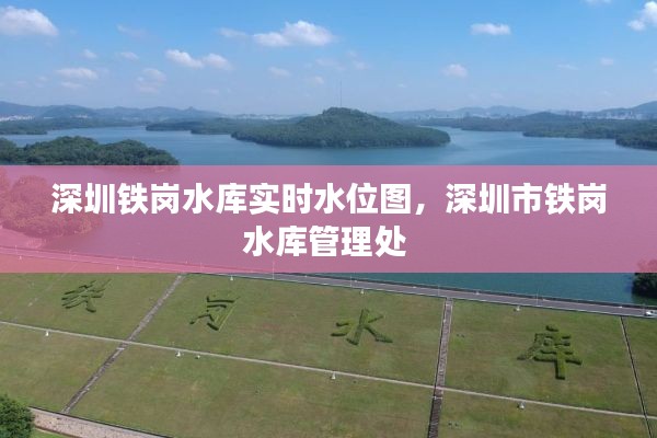 深圳铁岗水库实时水位图,深圳市铁岗水库管理处