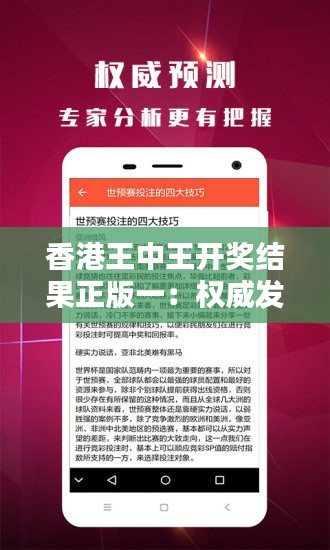 香港王中王开奖结果正版一：权威发布，年度成绩大盘点