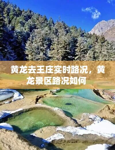 尽心竭力 第8页