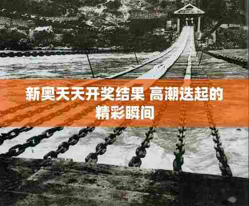 新奥天天开奖结果 高潮迭起的精彩瞬间