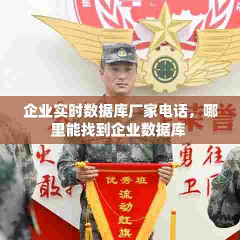 企业实时数据库厂家电话，哪里能找到企业数据库 