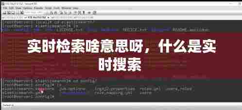 实时检索啥意思呀,什么是实时搜索