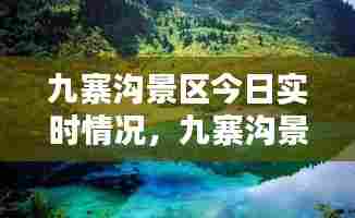 九寨沟景区今日实时情况,九寨沟景区今日实时情况查询