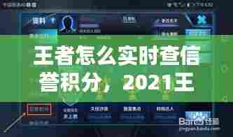 王者怎么实时查信誉积分，2021王者荣耀怎么查信誉积分 