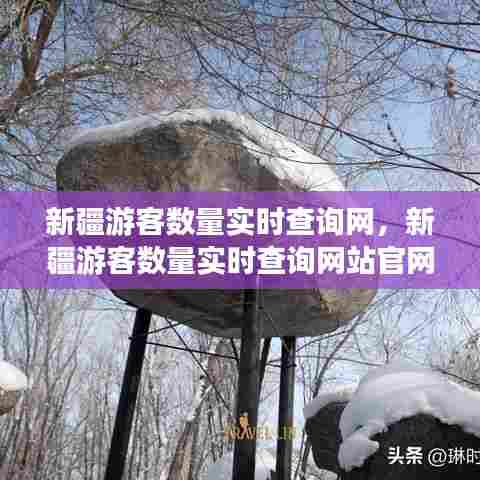 新疆游客数量实时查询网,新疆游客数量实时查询网站官网