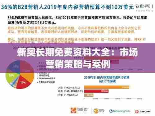 新奥长期免费资料大全:市场营销策略与案例