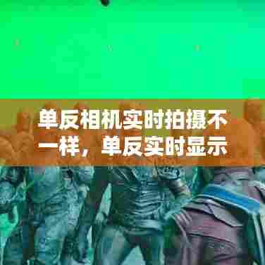 单反相机实时拍摄不一样,单反实时显示拍摄