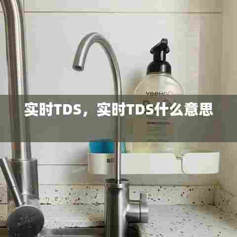 实时TDS，实时TDS什么意思 