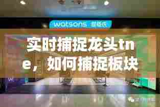 实时捕捉龙头tne,如何捕捉板块龙头