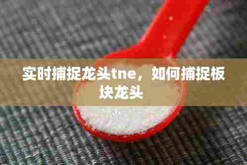 实时捕捉龙头tne,如何捕捉板块龙头