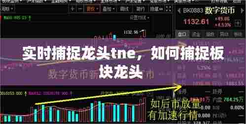实时捕捉龙头tne,如何捕捉板块龙头