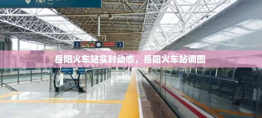 岳阳火车站实时动态，岳阳火车站调图 