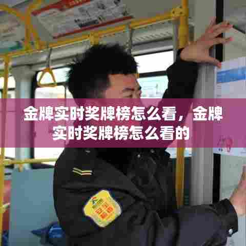 金牌实时奖牌榜怎么看，金牌实时奖牌榜怎么看的 