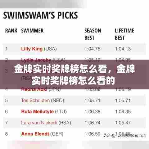 金牌实时奖牌榜怎么看,金牌实时奖牌榜怎么看的