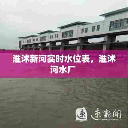 淮沭新河实时水位表，淮沭河水厂 