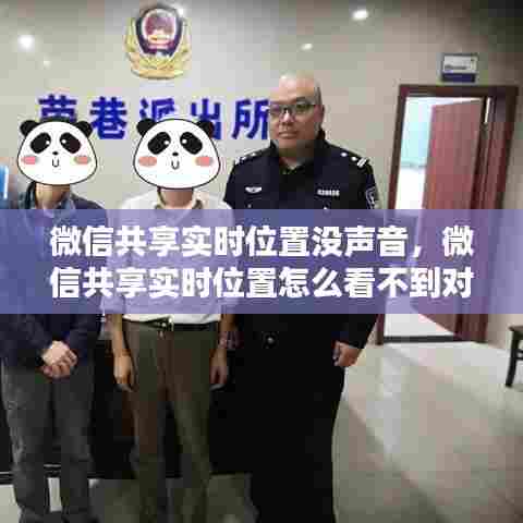 微信共享实时位置没声音，微信共享实时位置怎么看不到对方位置 