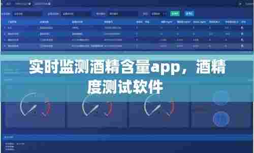实时监测酒精含量app,酒精度测试软件