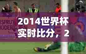 2014世界杯实时比分,2014世界杯 比分