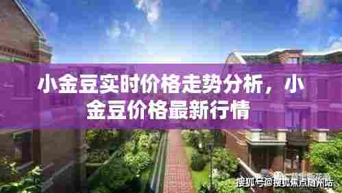 小金豆实时价格走势分析,小金豆价格最新行情