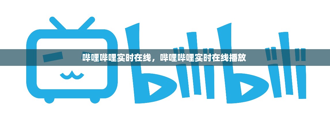 哔哩哔哩实时在线,哔哩哔哩实时在线播放