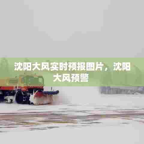 沈阳大风实时预报图片，沈阳大风预警 