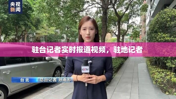 驻台记者实时报道视频，驻地记者 
