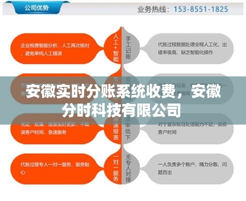 安徽实时分账系统收费,安徽分时科技有限公司